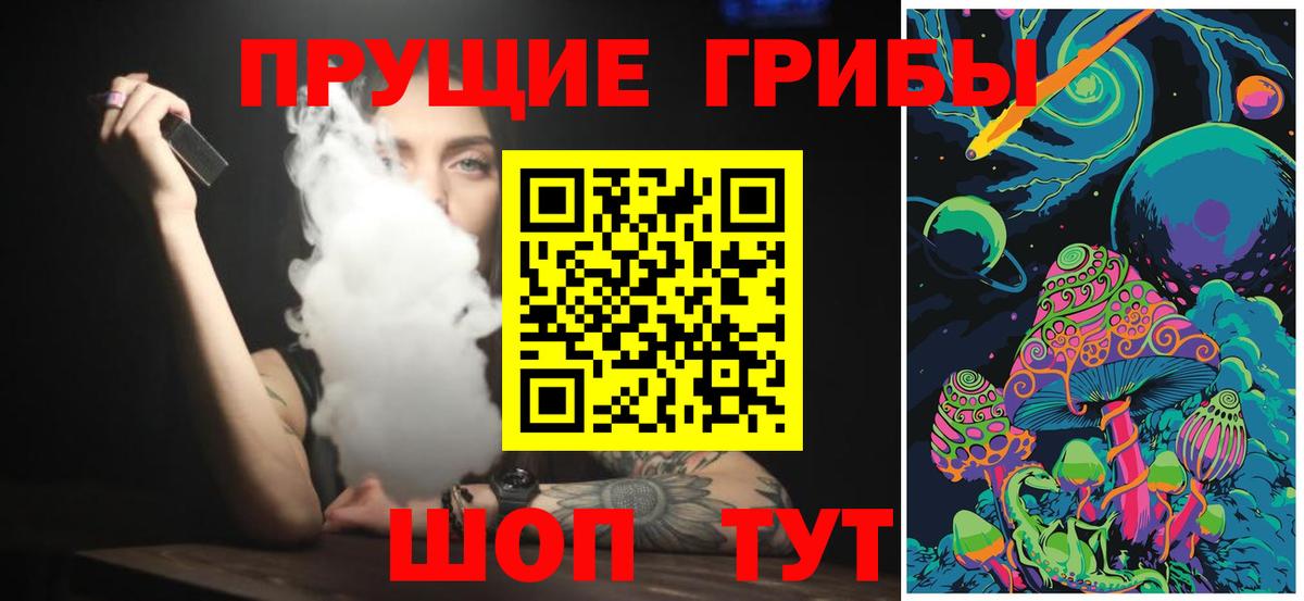 Псилоцибиновые грибы Psilocybine cubensis Чехов